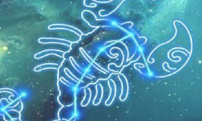 天蝎座的敏感点在哪（天蝎天蝎座的特点和弱点）