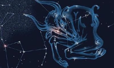 金牛座5月15日出生的（为什么金牛座是最恐怖的星座）
