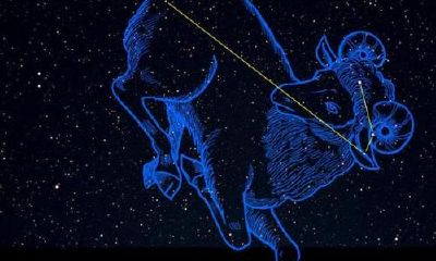 被白羊座男生拉黑微信（被白羊男拉黑还有戏吗）