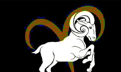 白羊座最近会遇到的事（白羊座如果决定做一件事）