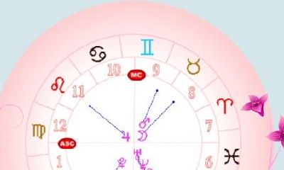 星座12宫的守护星座（星座12宫各代表的意义是什么）