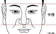 怎么从面相看人品（面相看男人的人品）