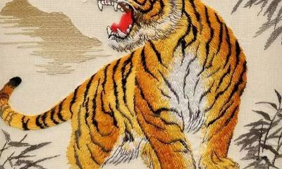 属虎人干什么发财（74年属虎人贵人在哪里）