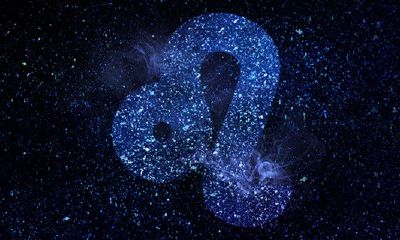 狮子男怎么挽回（如何挽回狮子座男生的心）