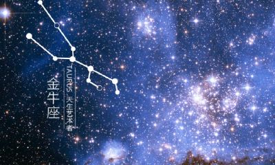 下降星座是狮子座男生（下降星座狮子座另一半）