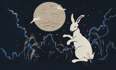 1975年属兔女微信网名最好（1975年属兔最旺财4个数字）