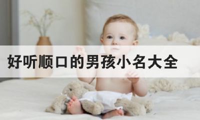 给电脑起名字女孩（给小男孩取名小名大全）
