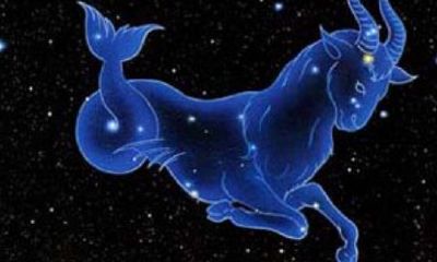 摩羯座四大天王之首（天蝎座四大天王之首）