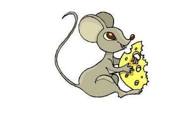 1984属鼠的男人花心吗（属鼠的男人是不是渣男）