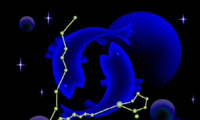 双鱼座是什么形状（双鱼座是长什么样的）