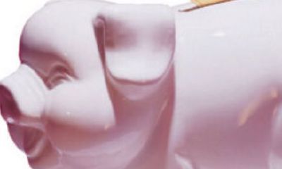 属猪穿什么颜色衣服最好（属猪穿什么颜色衣服）