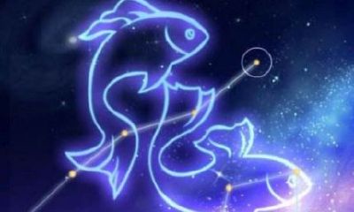 水瓶座女生学业（如何了解水瓶座女生）