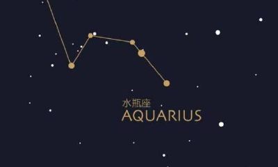 金牛座白羊座复合运势（金牛座与白羊座的缘分）