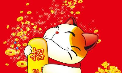 内衣店里要摆放什么物件招财（家里放什么最招财）