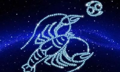 十二星座最聪明的几个星座（最聪明的星座）