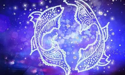 处女座是水向星座吗（表面傻但城府深的星座）