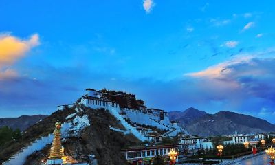 哪个星座最疼爱摩羯女（摩羯男娶得最多的星座女）