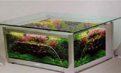 客厅风水财位方位图禁忌（客厅的方位风水禁忌）