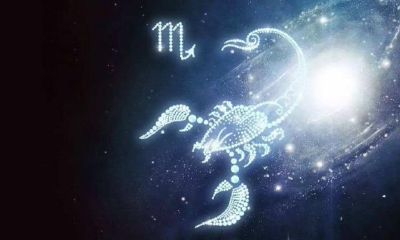 天蝎座最佳闺蜜是（12星座最佳闺蜜排名）