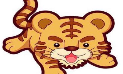 属猴今年的婚姻状况（92年属猴2023年婚姻最终归宿）