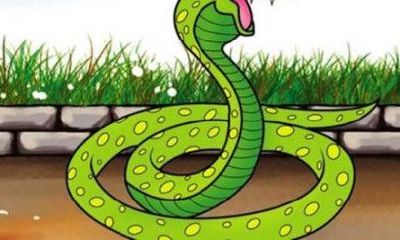 属蛇的今年下半年怎么样（属蛇的今年运势怎么样）