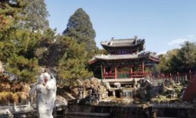 没恋爱别挡姑娘的好姻缘什么意思（敢问姑娘是否婚配是什么意思）