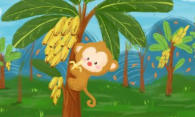 属猴的五行属性（五行属性查询）