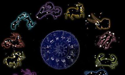 十二星座是哪样的（双鱼座的性格是什么样的）