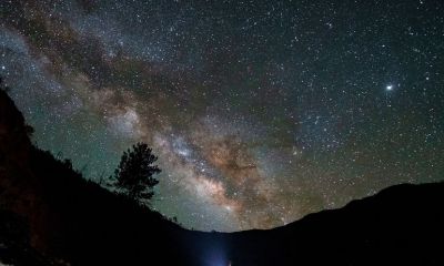 双鱼座很坚强（欺负双鱼座的人）