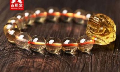 属虎人适合在哪个城市发展（属虎人最适合的事业）