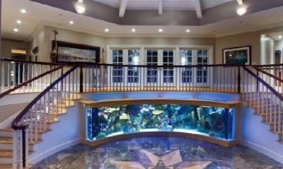 家中鱼缸摆放风水方位（放鱼缸的风水禁忌）