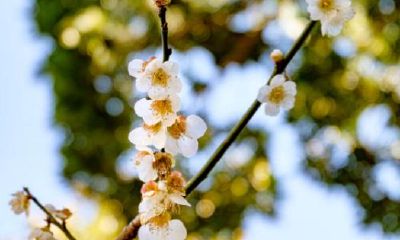 人与人的姻缘是磁场（双鱼座是在什么时候）