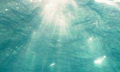 已婚女子梦到好多蛇（已婚女人梦见蛇好不好）