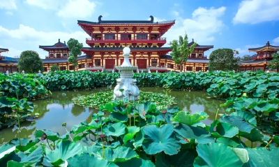 我姐是天秤座（给我看一下天秤座）