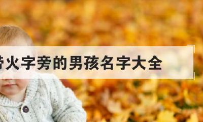 取名带火字旁最好的字男孩（带木字旁的字男孩取名）