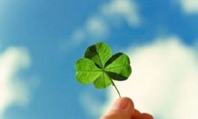 微信网名带财运的女（12生肖猴最佳配对）