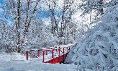 在夏天梦见下雪是什么征兆（夏天梦见下雪是什么意思）