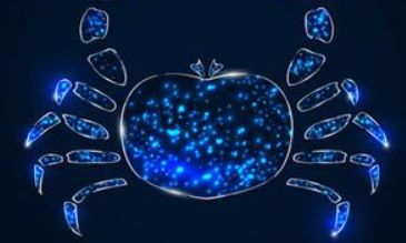 双鱼座在乎别人的看法吗（双鱼座失望了会怎么样）