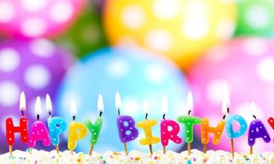 七几年属猪的是多少岁（95年属猪最佳结婚年龄）