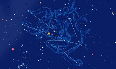 12星座的死神（12星座谁最怕双子座）