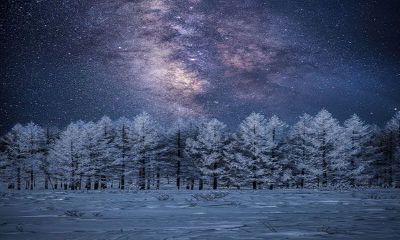 双子座男和什么座最配排行榜（12星座谁最怕双子座）