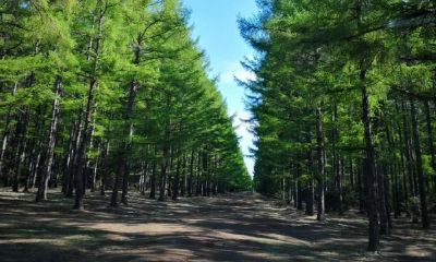 老了孤独人的手相（男人什么手相最好）