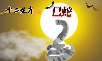 二零二二年属相是什么（2023年属虎五行属于什么命）