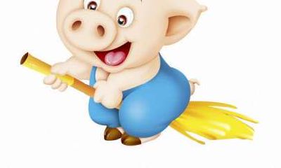 71年属猪女人的禁忌（71年属猪女人婚姻好不好）