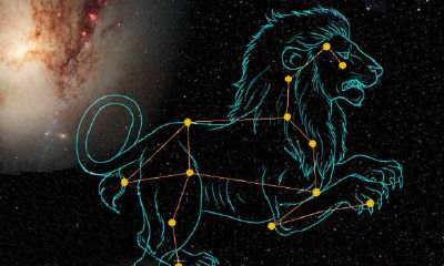 25岁狮子座（狮子座的年龄是多少）