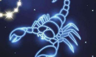 天蝎座喜欢怎样的聊天方式（天蝎座女生喜欢一个人的表现）