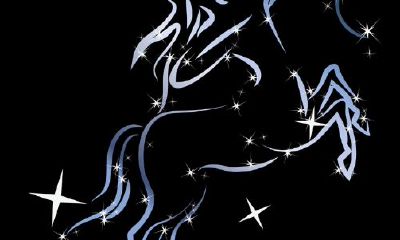 射手座男人对感情是怎样的（射手座的男人对待爱情）