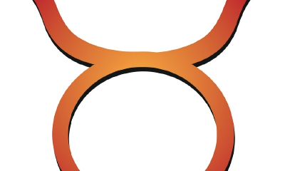 学生时代金牛座喜欢人的方式（金牛座对喜欢的人态度）