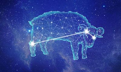 白羊座生日密码配对（白羊座星座配对表）