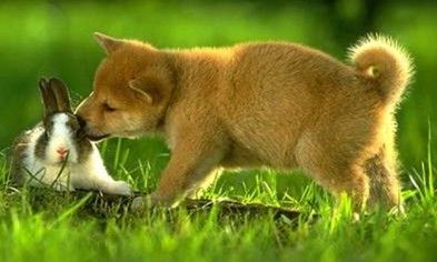 今年50周岁属什么生肖（1987年属虎人2023年运势及运程男）